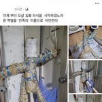 [드루와] ㅋㅋㅋ이재명 <b>지지자</b>들 개웃기네 ㅋㅋㅋ