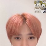 [NCT칠프] 사진에 <b>안</b>귀여운 부분이 없습니<b>타</b>。。