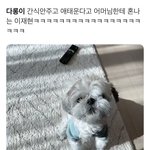 [더보이즈] 와 다<b>롱이</b> 영상은 처음 봐