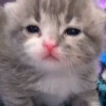 ㅇㅎ꿈 꾸는 방법 알아냄