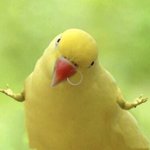 [펜타곤] 있잖아요
