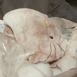 [충격범죄] 고문.. 잔혹함의 끝.. <b>악명</b>높은 헬로키티 살인사건 /...