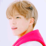 [NCT드림] 아침부터 힘내라는 짤<b>털털</b>털