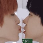 [NCT칠프] 내 최애 씨피들 지금 왜 이러냐