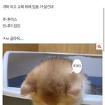 [추반] ㅈㅂ 골라줘