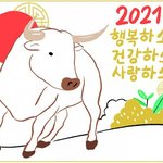[댓글부탁해] <b>체형</b>별 쇼핑몰추천 해주라