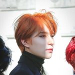 이거 제발