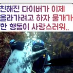 [19] 인스타보다가 s랑 n<b>차이점</b> 발견함