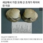 세상에서 가장 오래산 <b>조개</b>가 죽은 이유