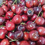 [홈쇼핑횡포] <b>SK</b>스토어 홈쇼핑 횡포를 고발합니다