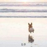 [댓글부탁해] 님들 내 <b>방</b>에 몰카 있는거 같음