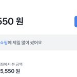 나도 1월 <b>소비</b>