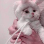 [추반] ❗️초콜릿 <b>논쟁</b> 추반 ㄱㄱ❗️