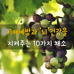 [50대] 치매예방과 뇌건강을 지켜주는 10가지 <b>채소</b>