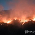 [속보] <b>영덕</b> 산불에 '동원령 1호'…주변 8개 시도 소방력 투입