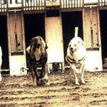 [19] 최<b>민정</b> 경기 한장 요약ㅋㅋ