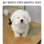 유행하는 테두리 뚜렷한 렌즈보다 <b>흐릿</b>한 렌즈가 더 어울리는 유형은...