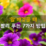 [50대] 알배겼을때 빨리푸는 7가지 방법