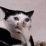 <b>판창</b> 테스트 해보고 가