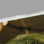 [NCT드림] 이거 짭포카야??