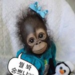 [댓글부탁해] 이번년도 입시 역대급 ㄹㅈㄷ