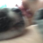 [댓글부탁해] 꿈에서 체육쌤이랑 <b>사겻</b>는데