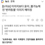 [반려동물을 이미지메이킹에 이용하고 <b>파양</b>하는 연예인들 없어지길]...