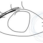 너네도 <b>이러</b> 속눈썹 있어??