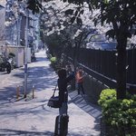 <b>중소</b> 대형 차이 이거인듯