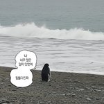 국가 장학금 뭔 기준으로 <b>심사</b>하는거임???