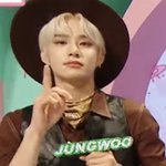아니 <b>정우</b>