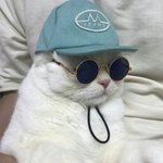 [모두드루와] 엔믹스 <b>jyp</b> 맞냐?