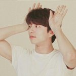 <b>공유</b> 짤털