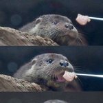 [댓글부탁해] <b>매몰</b> 일주일이면