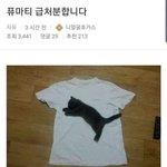 남혐 아니라 게혐임