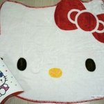 [댓글부탁해] <b>이</b> <b>담요</b> 사고싶음