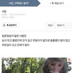 ㅋㅋ