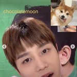 [NCT칠프] 문태일 <b>앙큼</b>fox