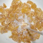 콘푸로스트안에 바퀴<b>벌레</b> 들어있을 것