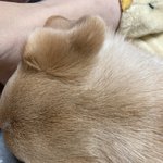 [19] 섹시한 뒷<b>통수</b>