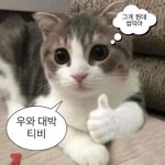 [추반] 2차 맞으면 <b>마니</b> 아파?