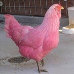 [댓글부탁해] 나 치마 줄이고 싶은데 괜찮은 <b>핑계</b> 있니