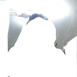 [이것좀봐줘] 나 <b>몇키</b>로 같음?