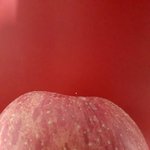 [이것좀봐줘] 우담<b>바라</b>?