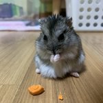 [댓글부탁해] 근데 시골 <b>텃세</b> ㅈㄴ 심해?