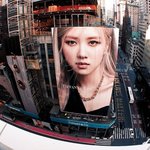 로제는 조용히 잘나가네