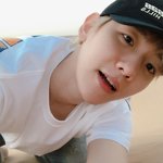 [댓글부탁해] 나 소나무임?