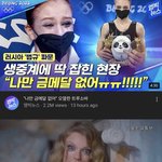 유튜브 보는데 트루소바 너무 <b>절묘</b>함ㅋㅋㅠ