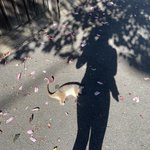 작은 <b>선행</b>
