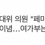 <b>페미니즘</b>은 반헌법적 이념임